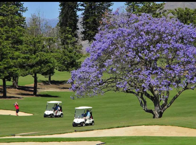 Vitania Ii Mijas Golf Leilighet *